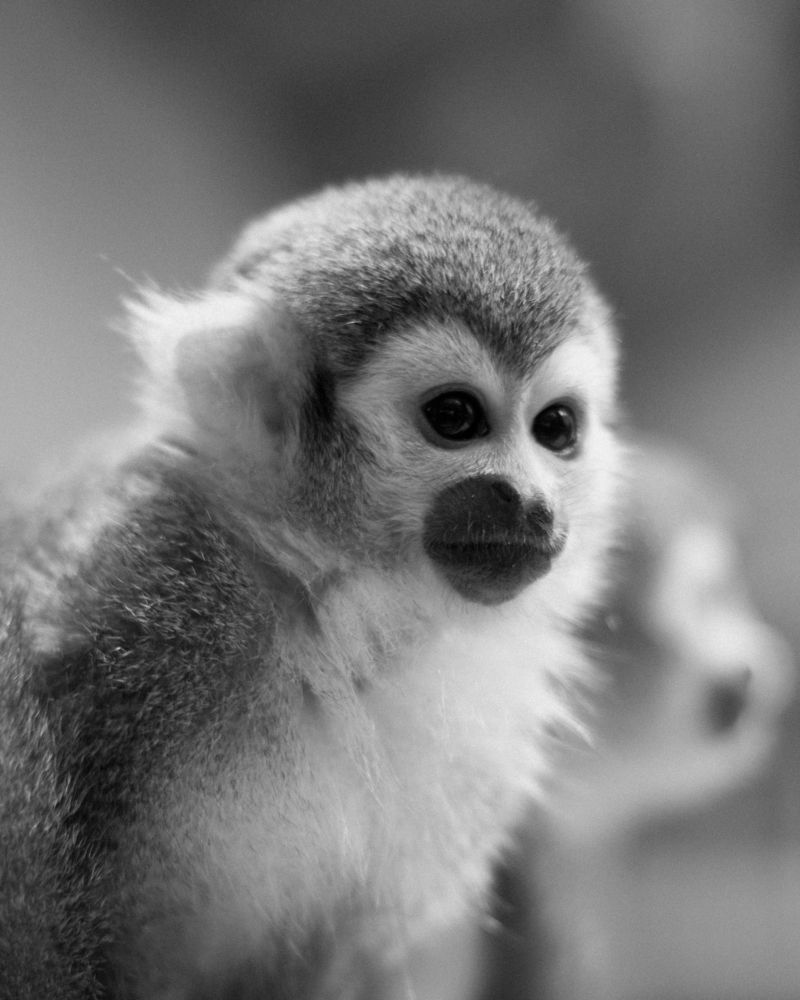 Photograph by Elias Hartwood