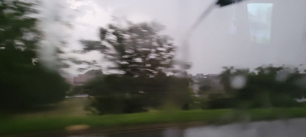 Photograph by Gilson Marcos Ferreira de OLIVEIRA