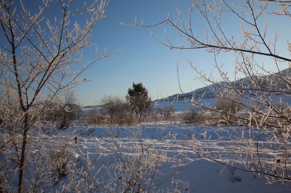 Photograph by Светлана Максимова