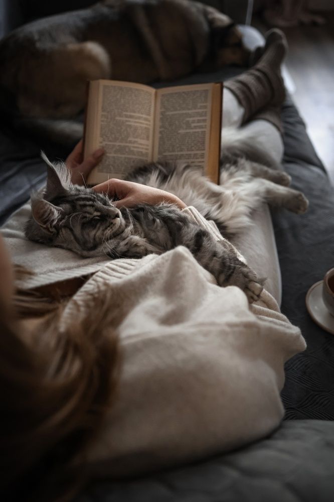 Photograph by Марина Иванова