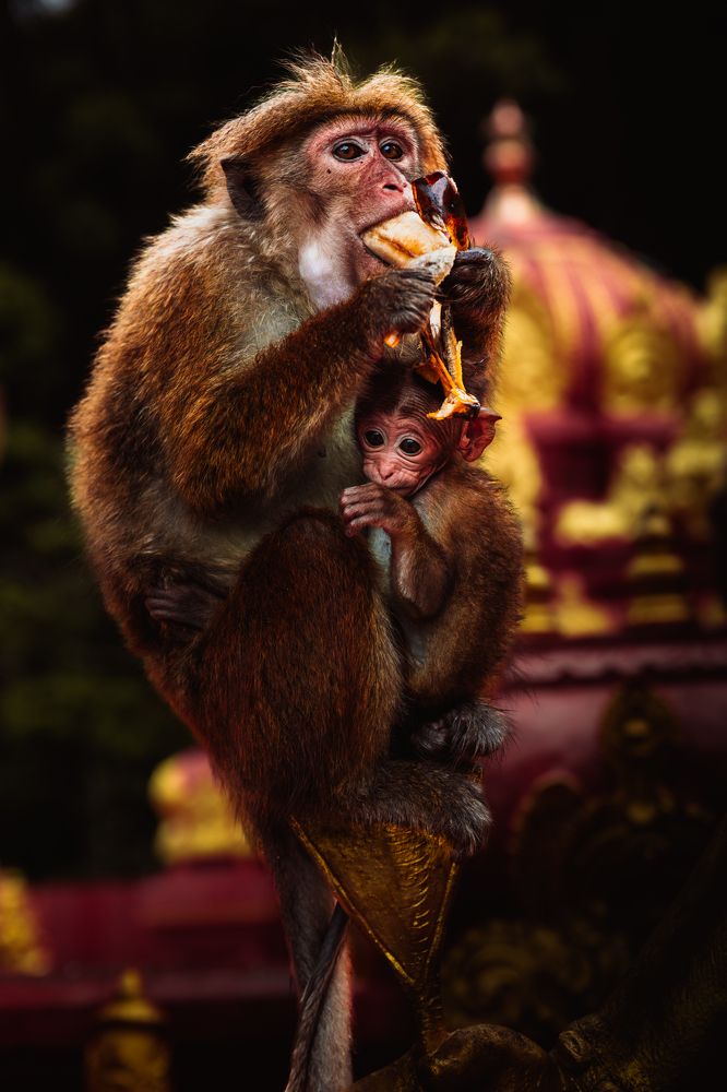 Photograph by Савва Тимофеев