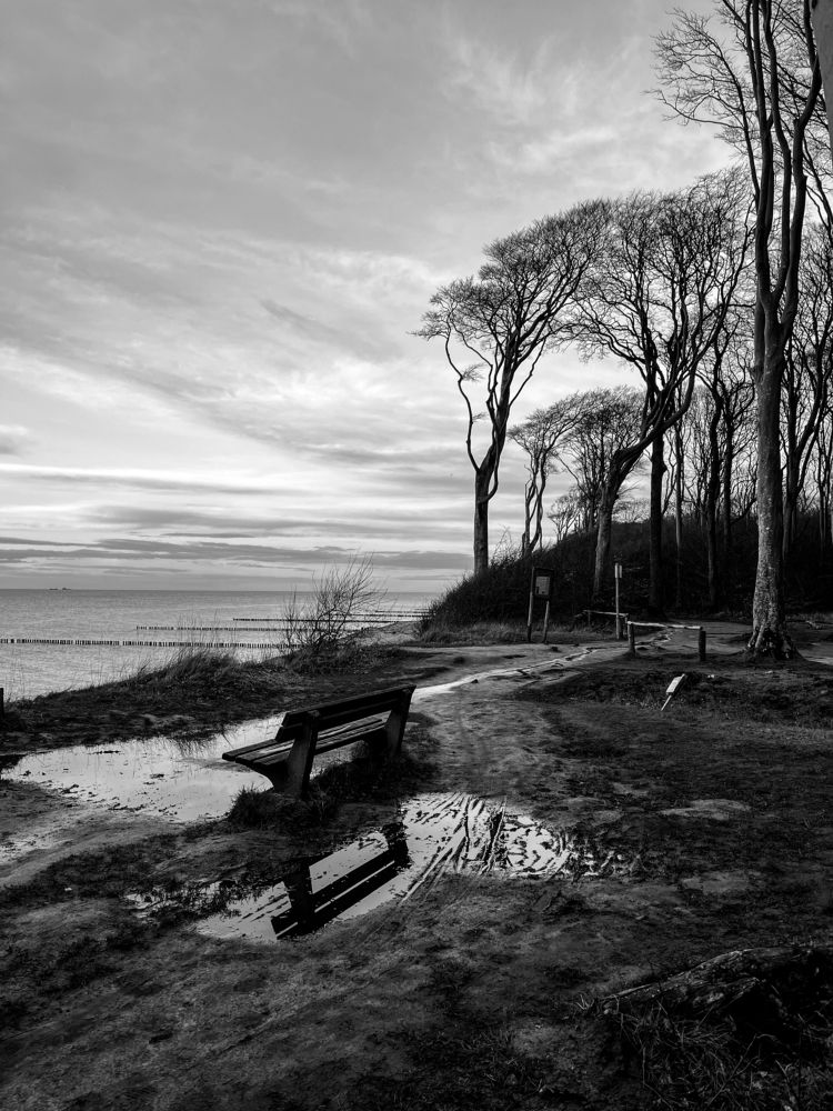 Фотография автора Nancy Meinelt