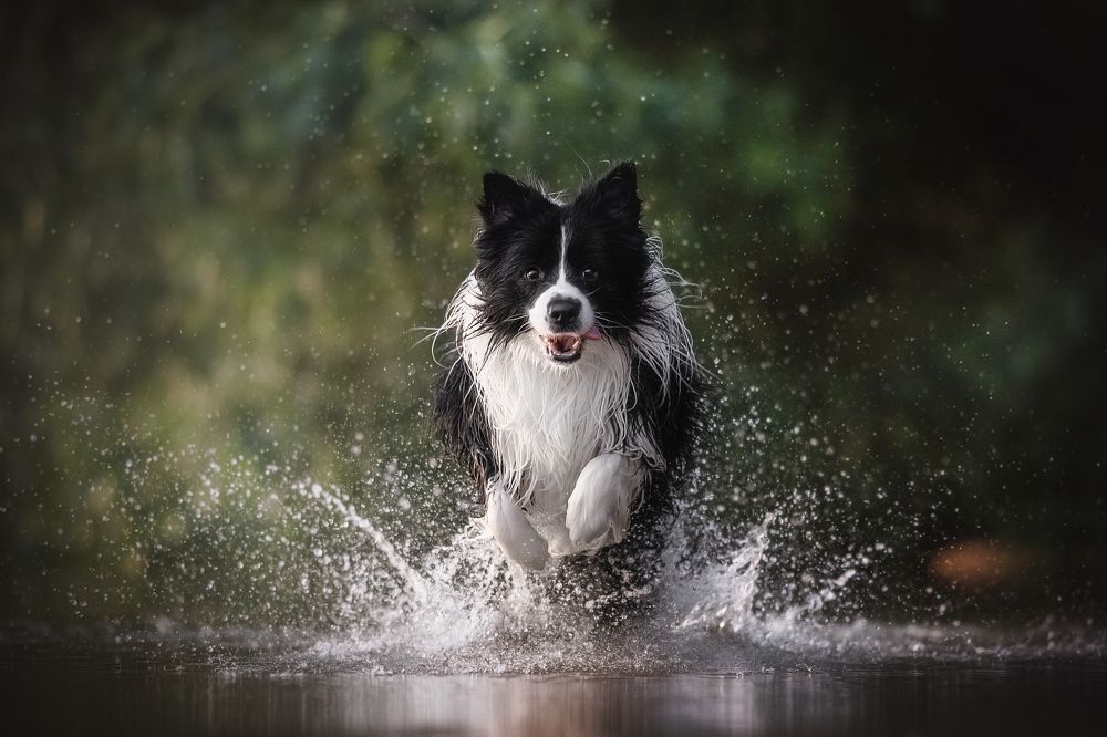 Photograph by Людмила Богуш