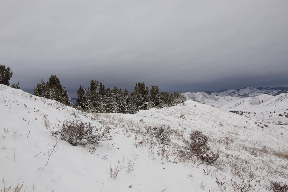 Photograph by Светлана Максимова