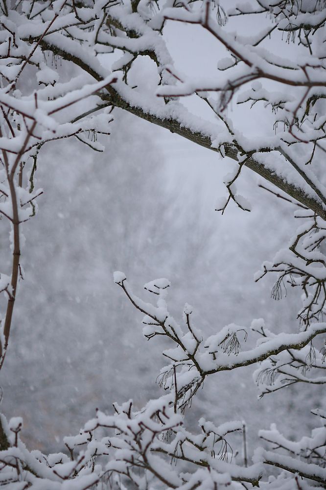 Photograph by Елена Анучина