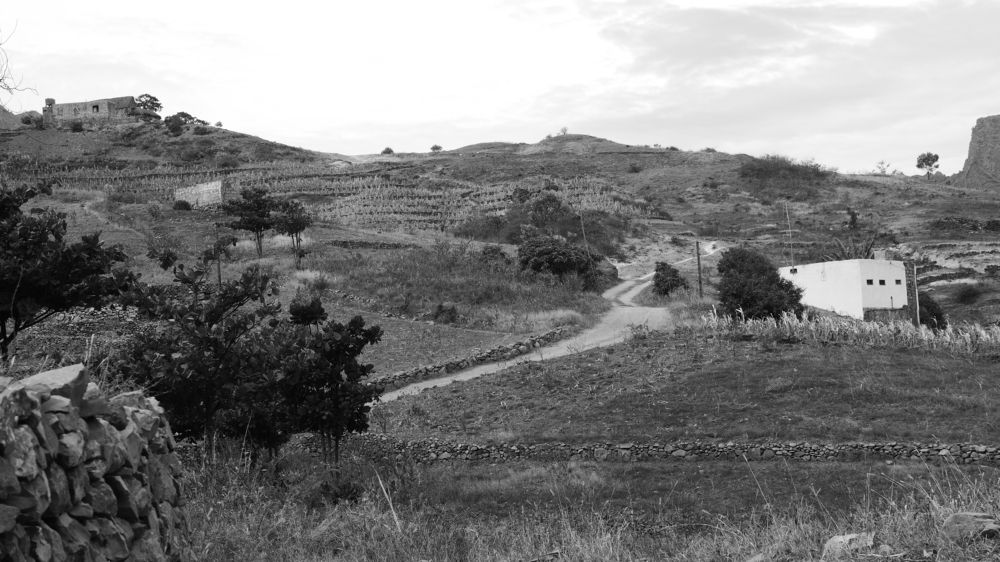 Photograph by João Paradela