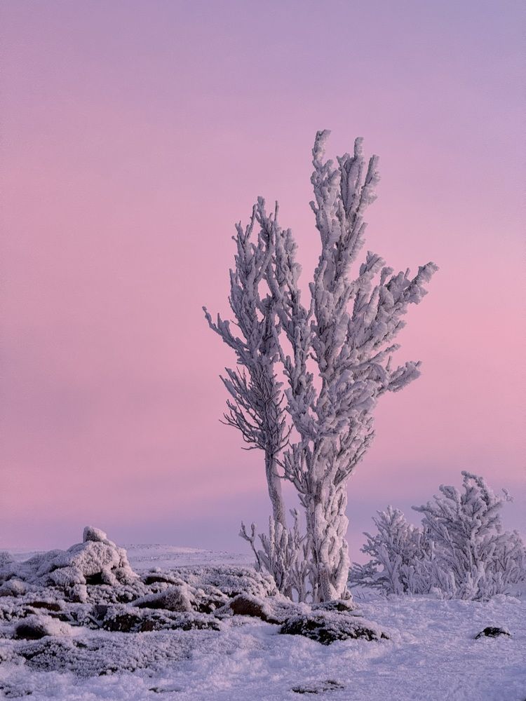 Photograph by Kimmo Köykkä