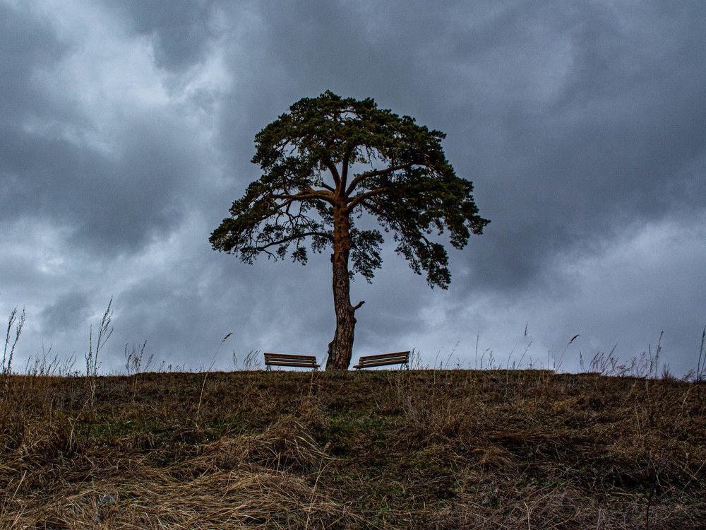 Photograph by Людмила Баймухаметова