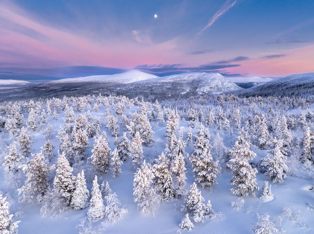 Сквозь тишину