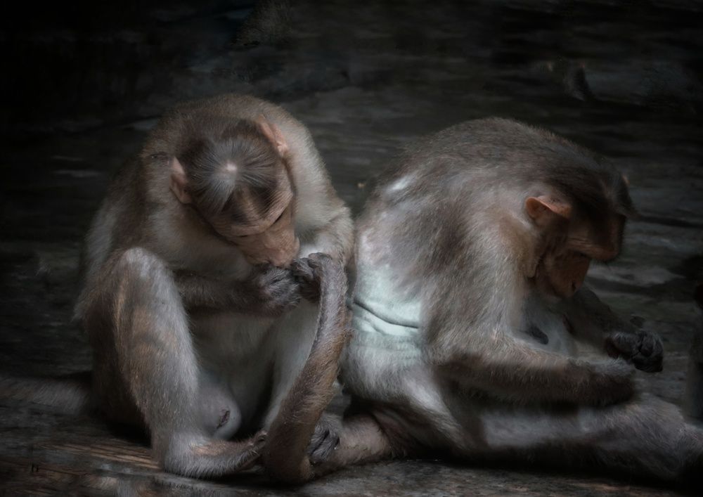 Фотография автора Subham Durgey