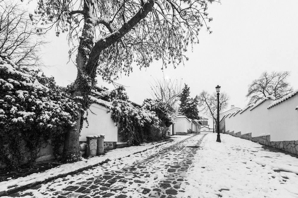 Photograph by Daniel Chobanov