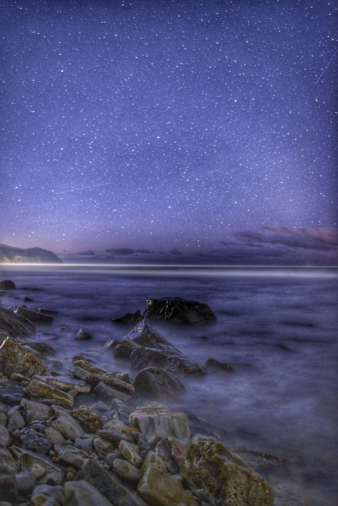 Photograph by Vasilisa the Beautiful