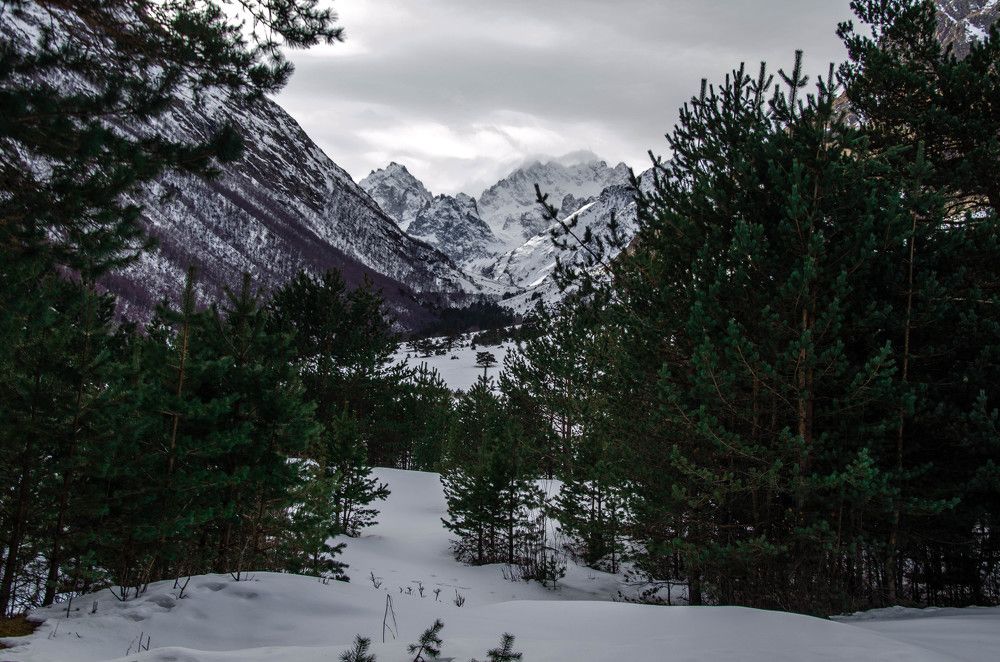 Photograph by Николай Морозов