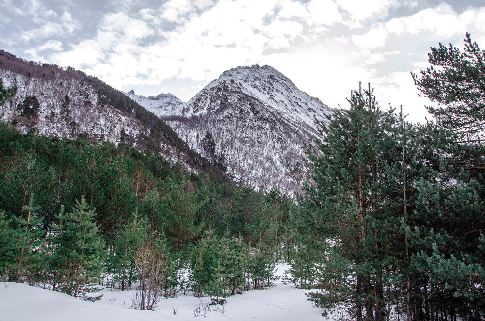 Photograph by Николай Морозов