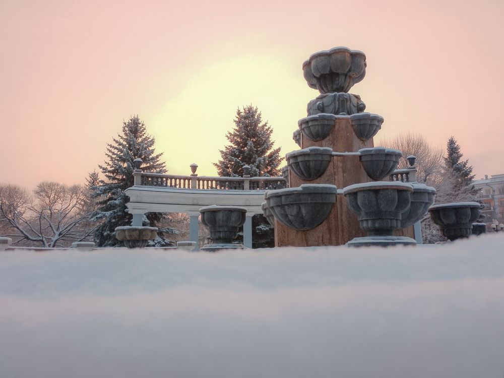 Photo #11705465