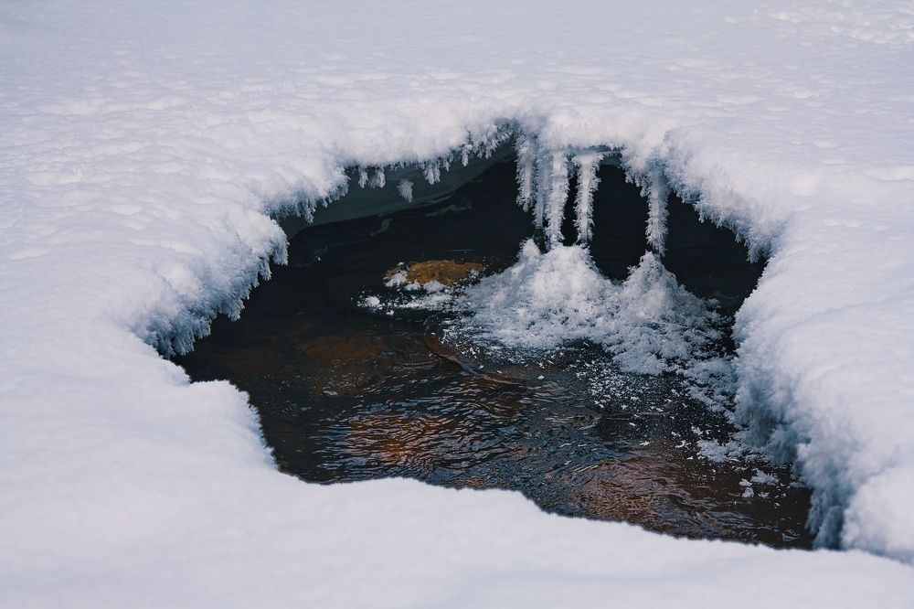 Photograph by ANTON KLYUSHIN