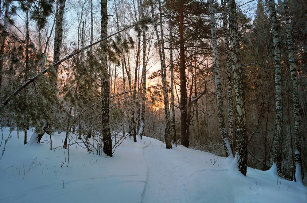 Photograph by Мишустина Татьяна