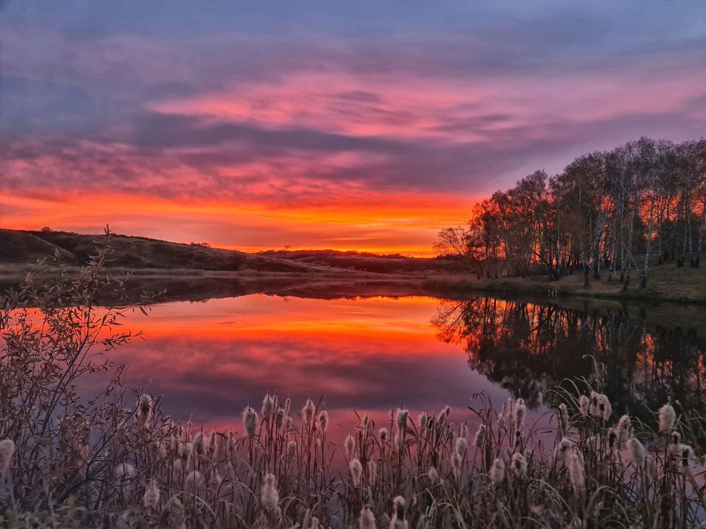 Photograph by Лариса Дука