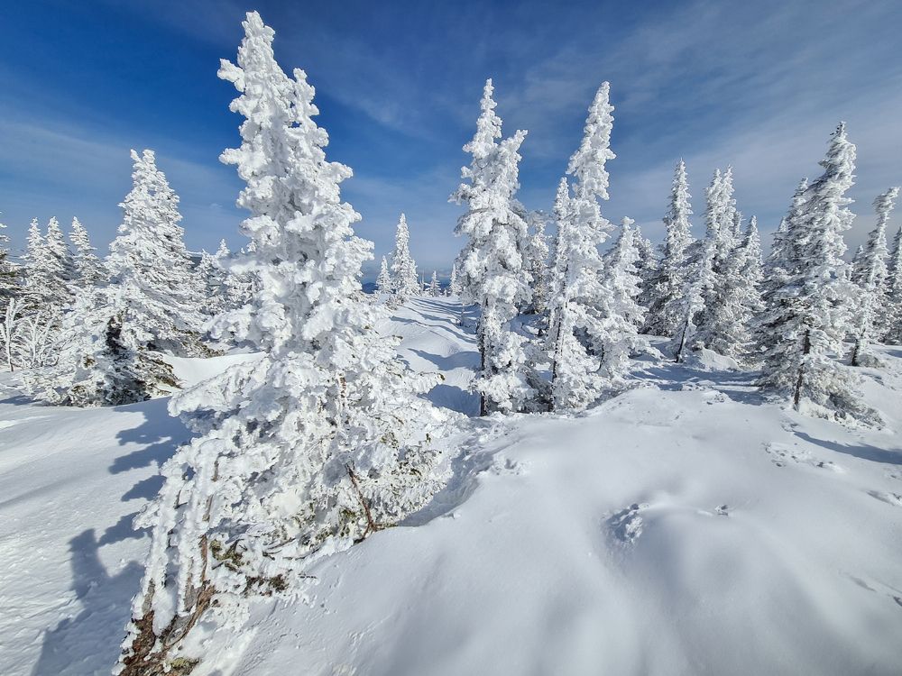 Photograph by Лариса Дука