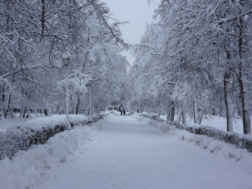 Photograph by Владимир Джерихов