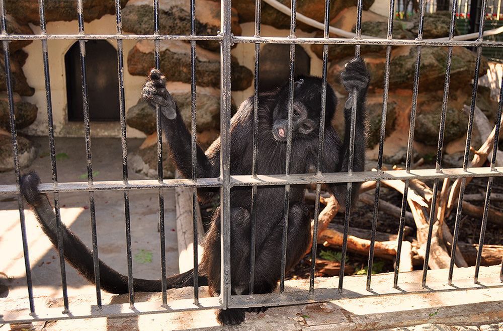 Photograph by yakov vayman