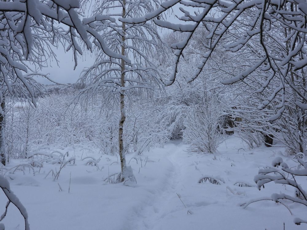 Photograph by Владимир Джерихов