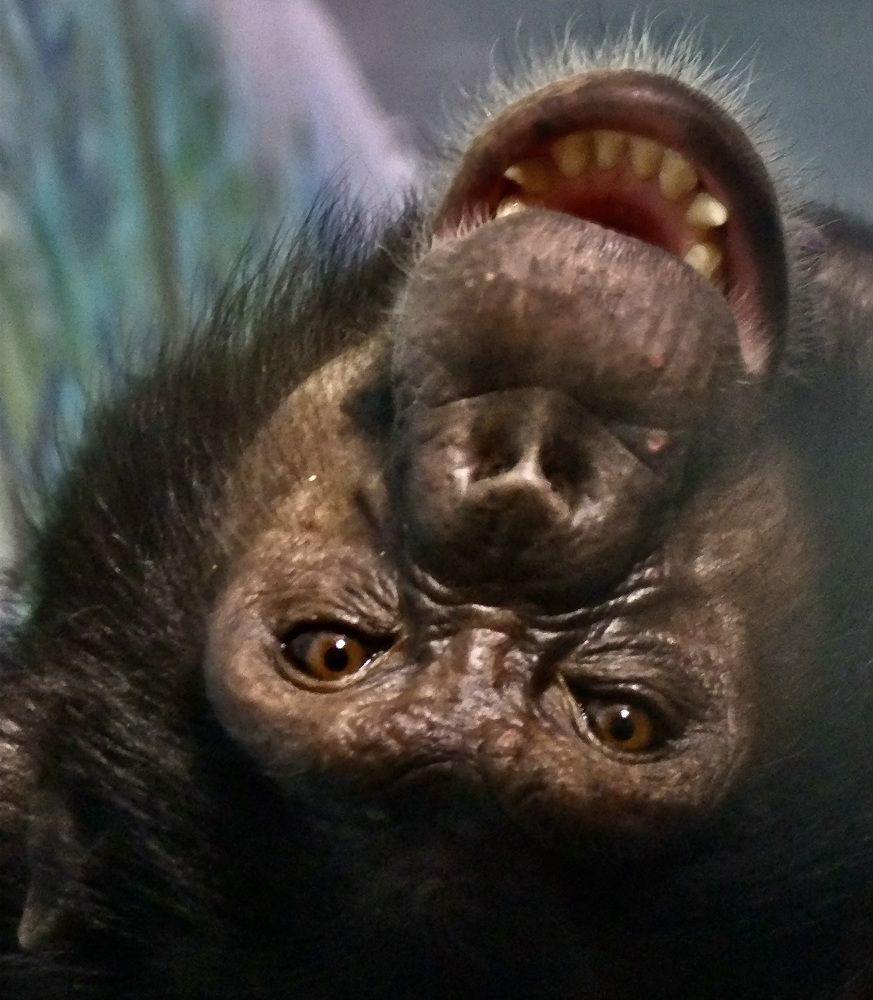 Photograph by Татьяна Шитлина