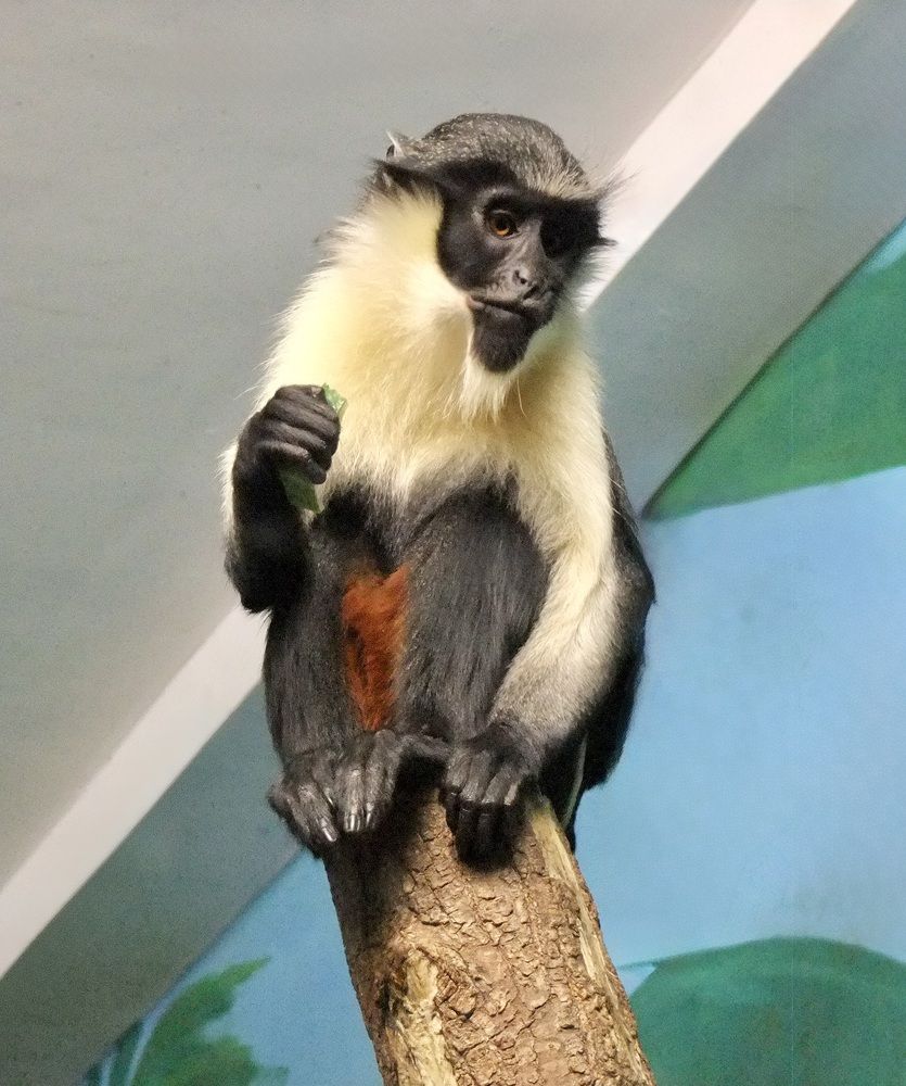 Photograph by Татьяна Шитлина