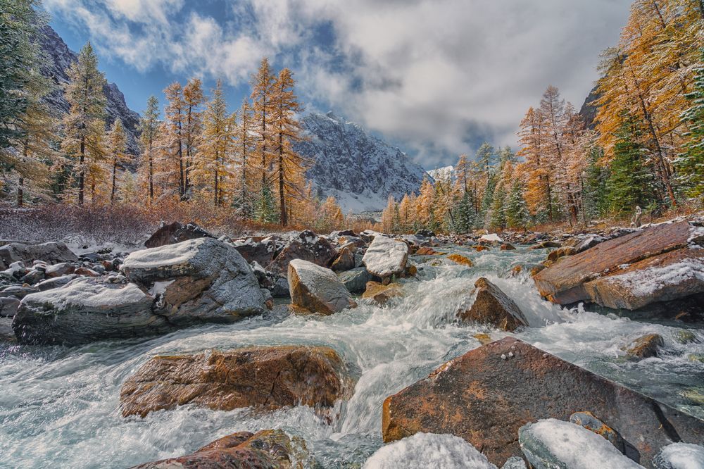 Photograph by Лариса Дука