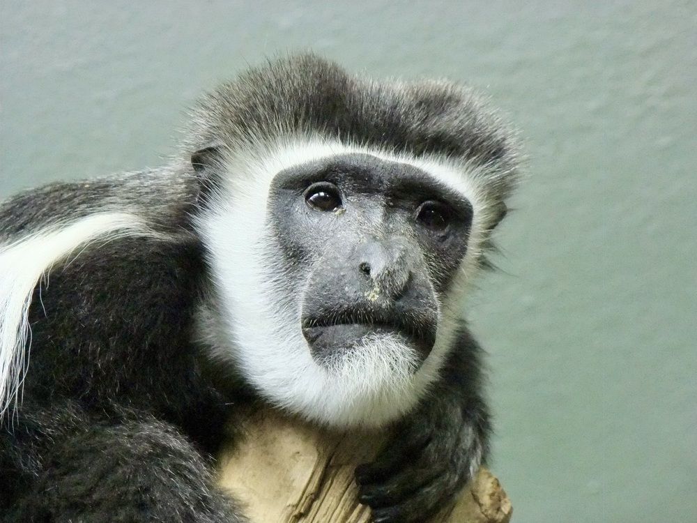 Photograph by Татьяна Шитлина