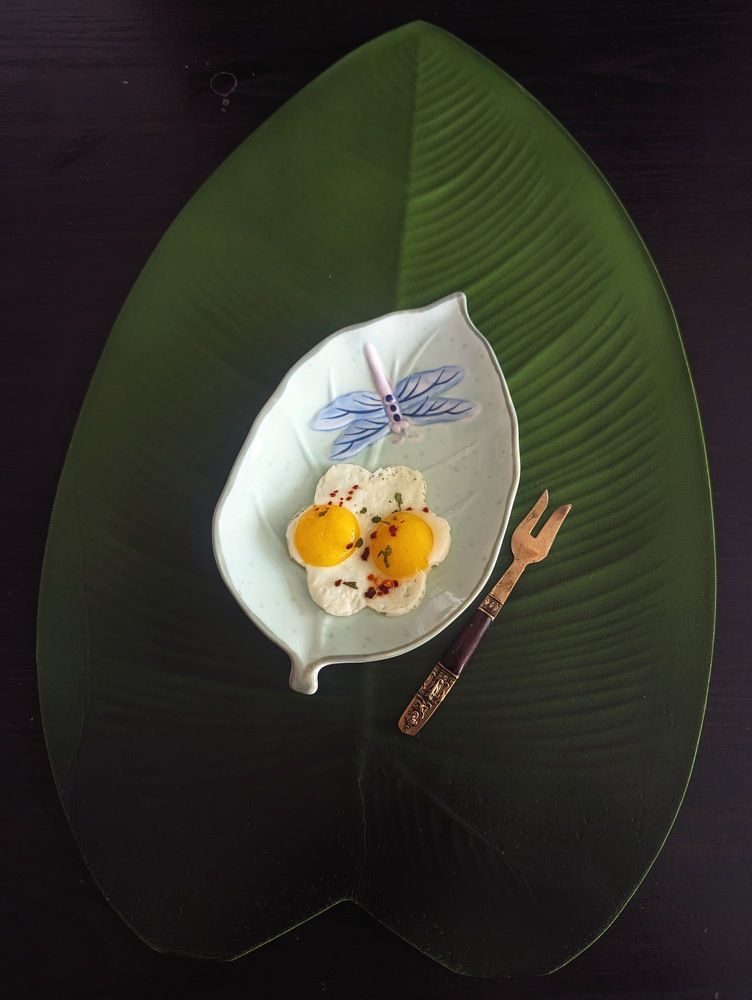 Photograph by Shaila Mahbub