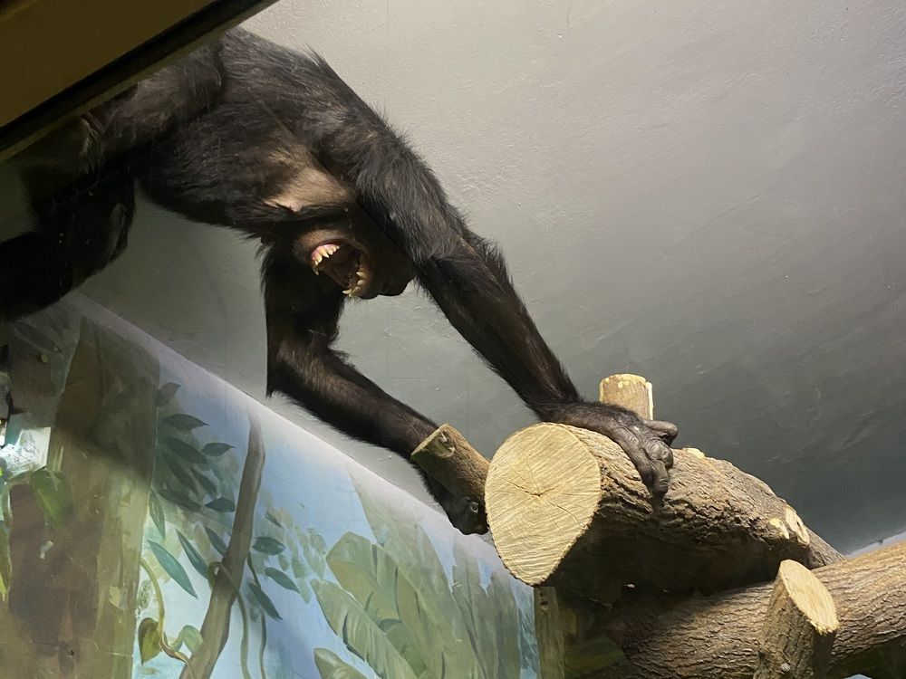 Photograph by Татьяна Шитлина