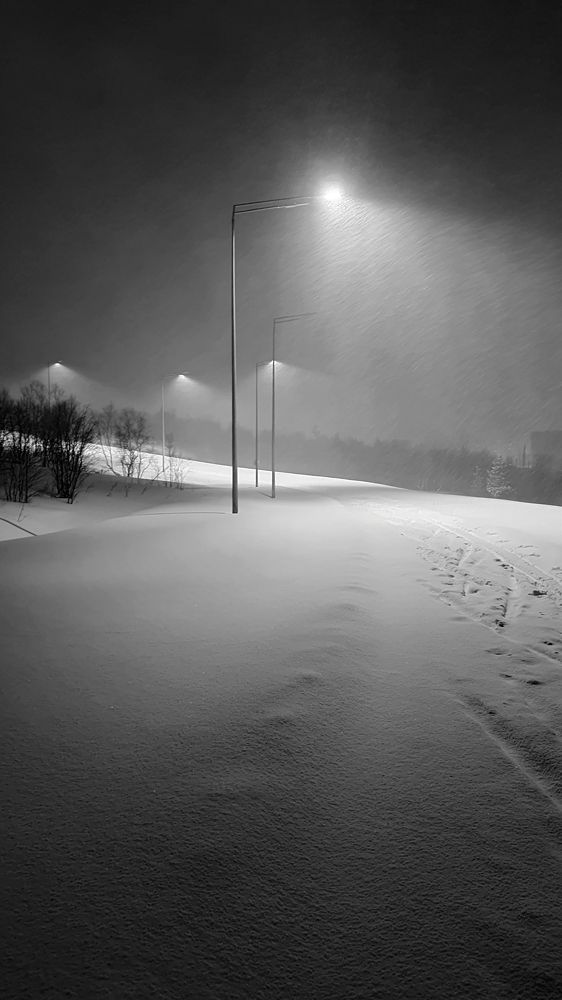 Фотография автора Наталья Василькова