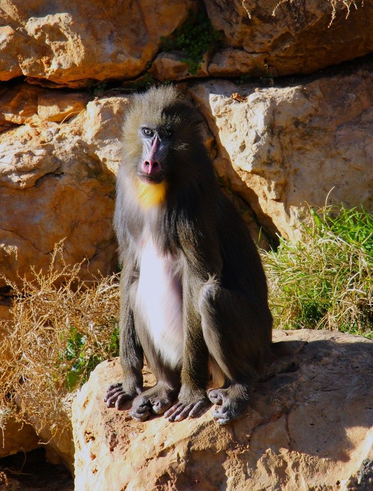 Photograph by Людмила Бутова