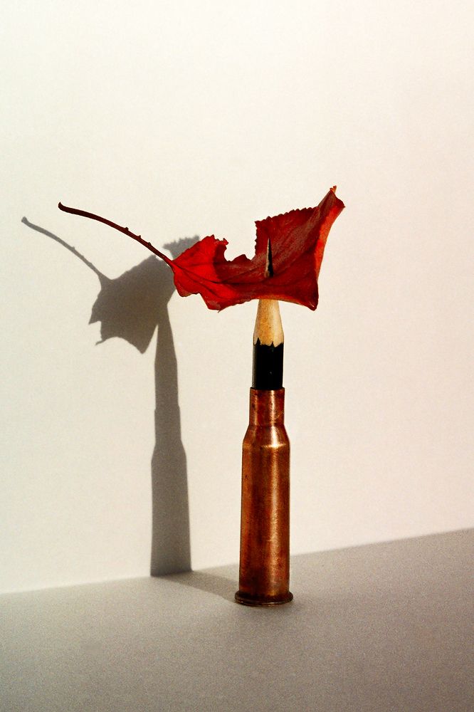 Без названия