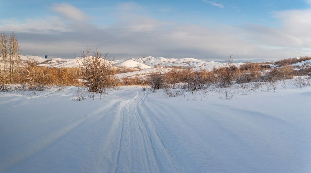 Photograph by Ирина Яук