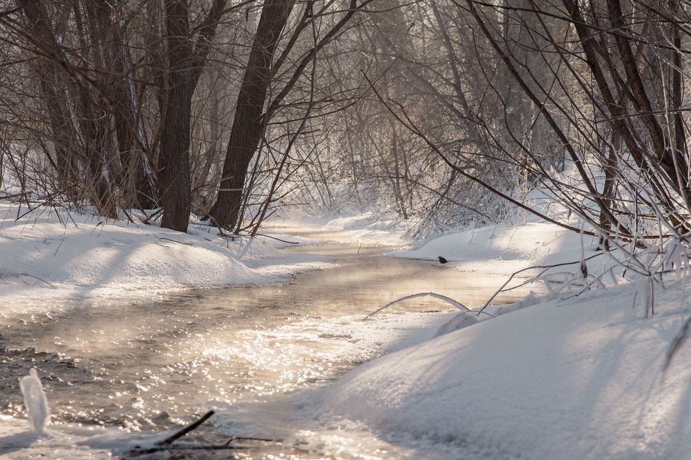 Photograph by Ирина Яук