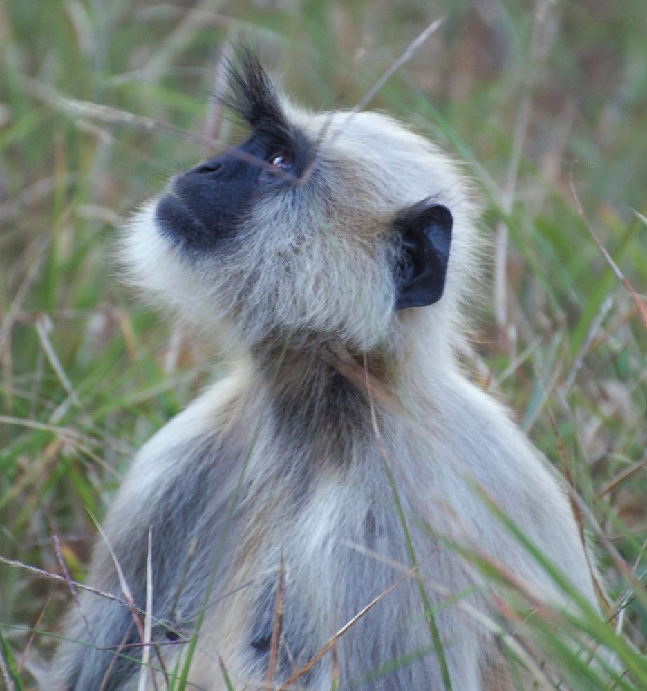 Фотография автора Gaurav Khosla