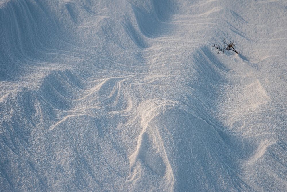 Photograph by Ирина Яук