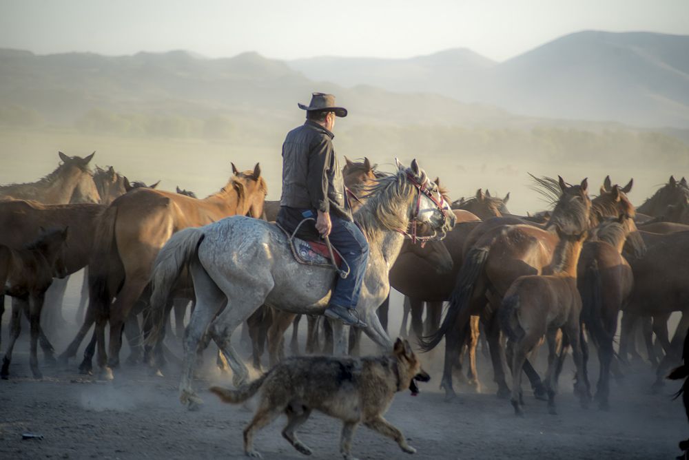 Photograph by DAMOUN POURNEMATI