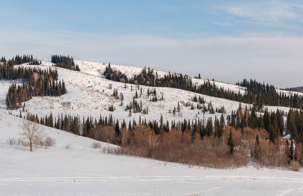 Photograph by Ирина Яук