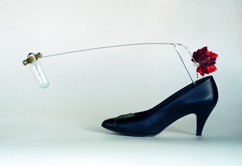 Без названия