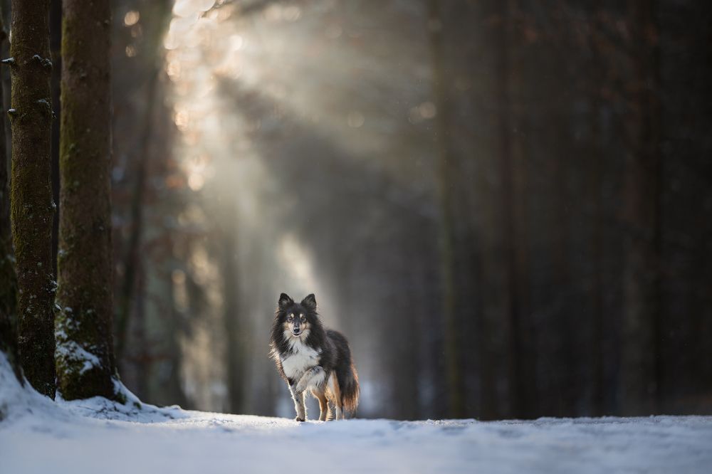 Photograph by Daniela Schmid