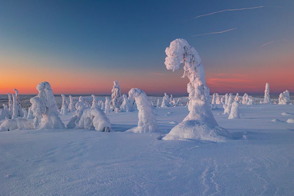 Photograph by Артём Бабенов