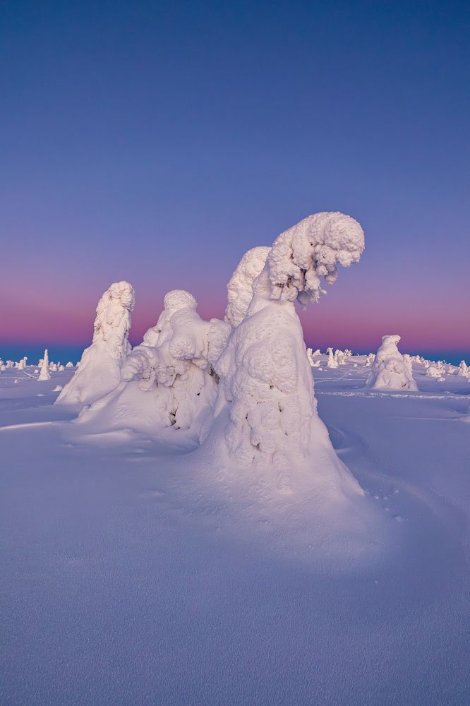 Photograph by Артём Бабенов