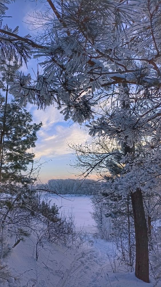 Photograph by Олеся Лосыгина