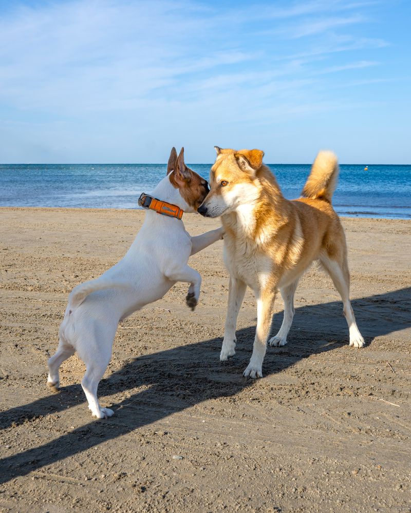 Photograph by Анна Анатольевна