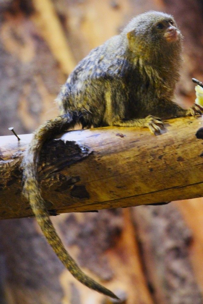 Photograph by Людмила Бутова