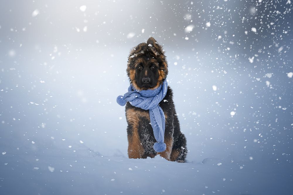 Photograph by Lucie Nermuťová