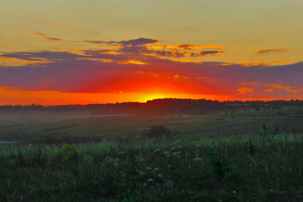 Photograph by Сергей Конюшенко